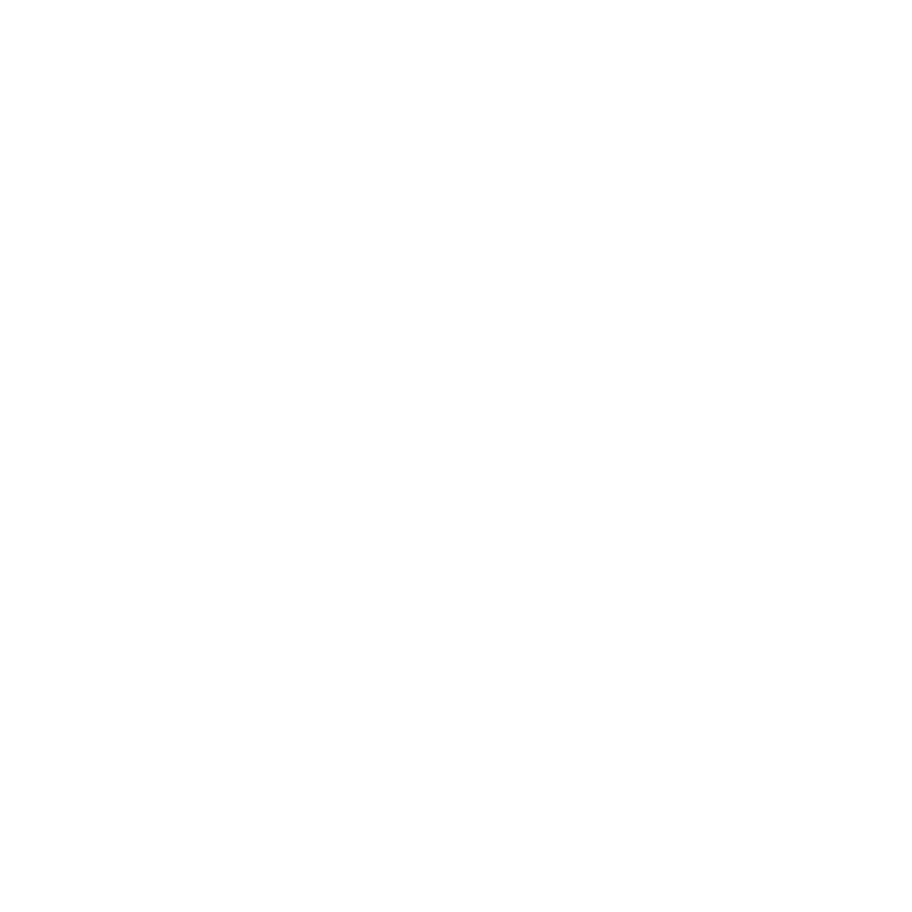 Bulls_Logo